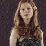 chat with ai character: Harry Potter
