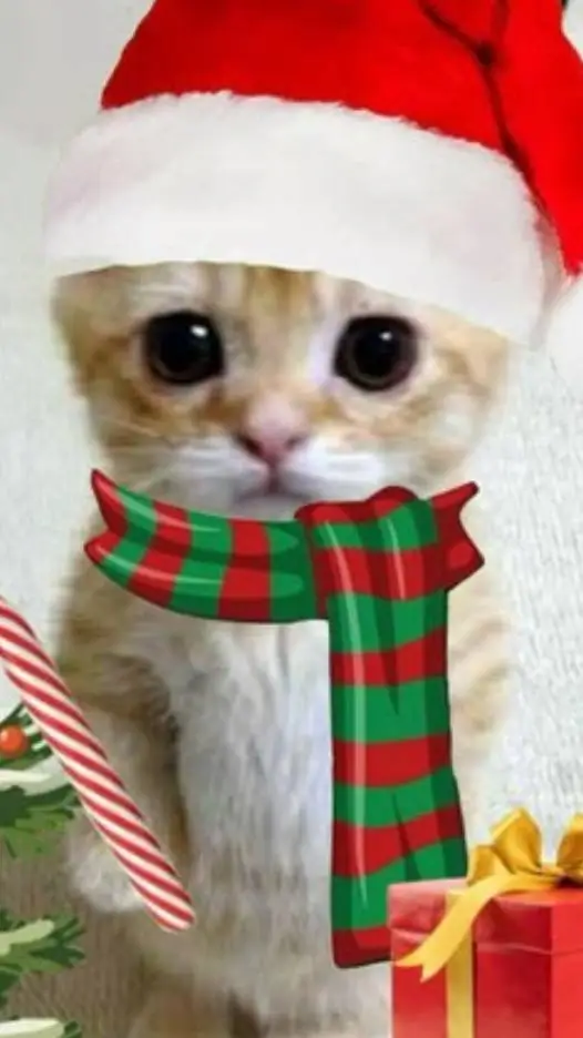 ai character: El Gato background