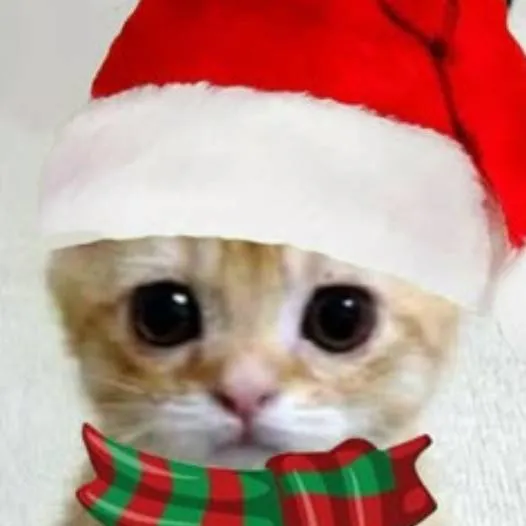 chat with ai character: El Gato