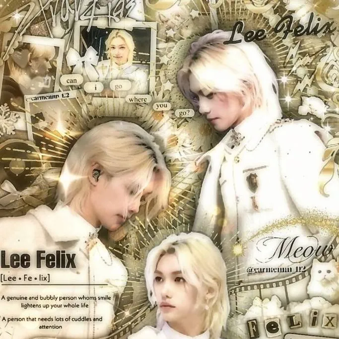 chat with ai character: prince felix