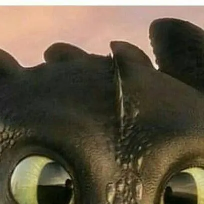 chat with ai character: Toothless