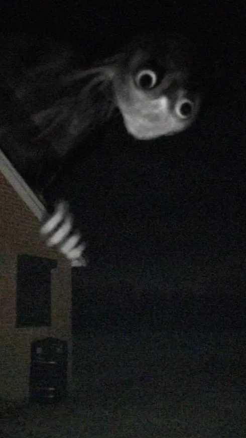 ai character: Nervous houseguest background