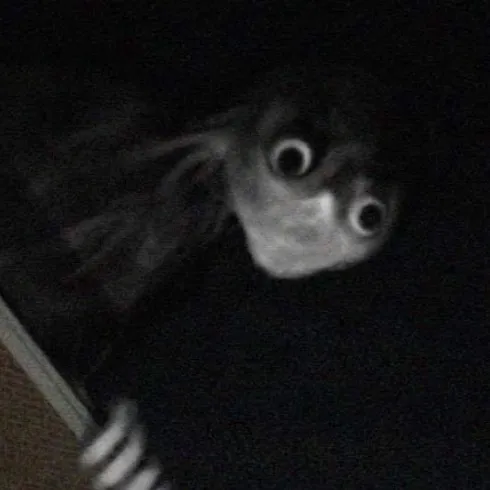 chat with ai character: Nervous houseguest