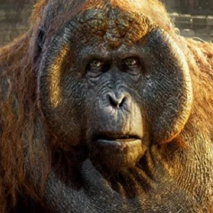 chat with ai character: King Loui