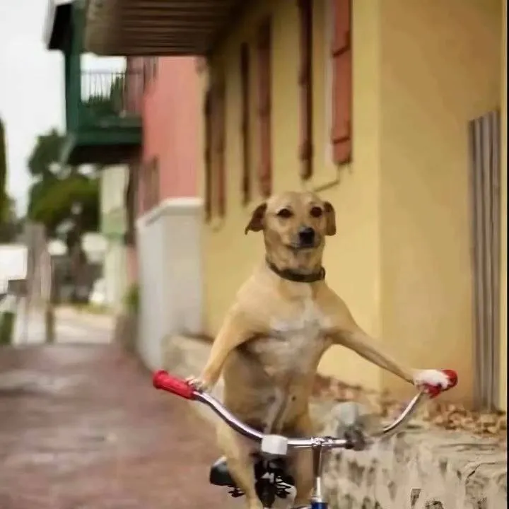 chat with ai character: TALKIE VOTING!!!!