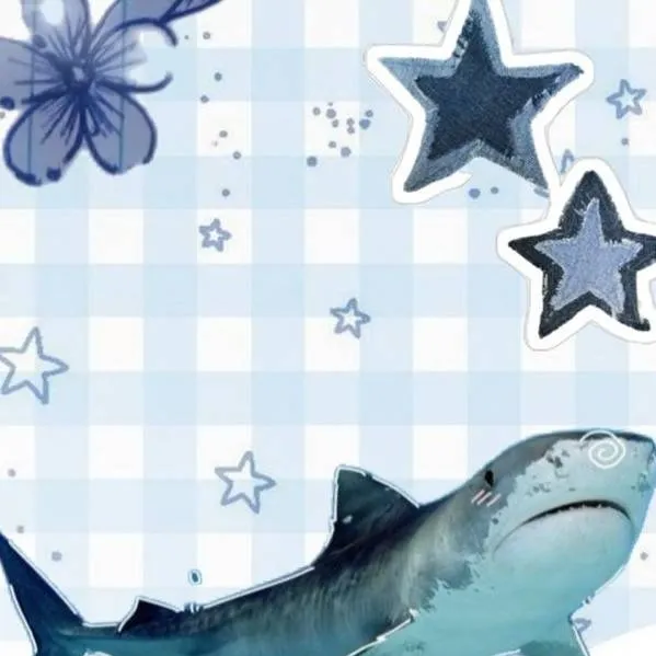 chat with ai character: 🦈 shark🦈