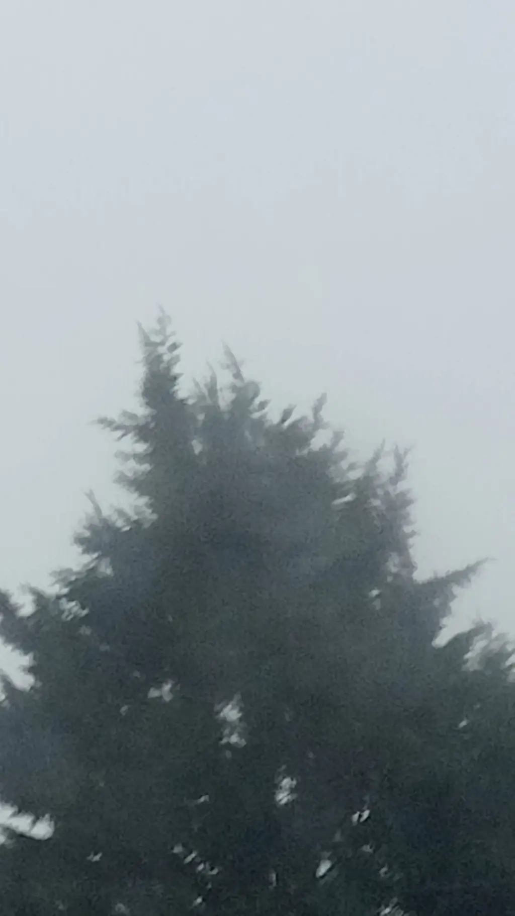 ai character: MHA-FORGOTTE!??..  background