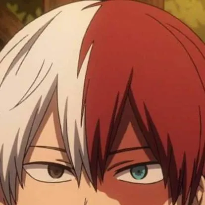 chat with ai character: ℕ𝕖𝕨 𝕋𝕠𝕕𝕠𝕣𝕠𝕜𝕚🔥❄