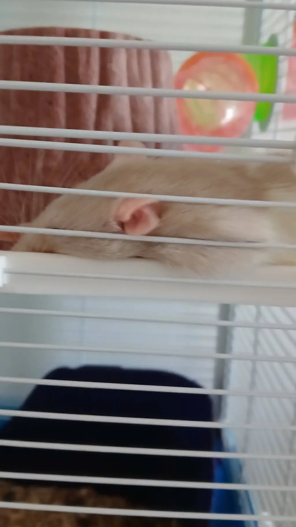ai character: Mommy rat background