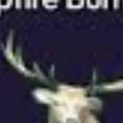 chat with ai character: Freaky deer