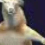 chat with ai character: REAL FREAKY DEER