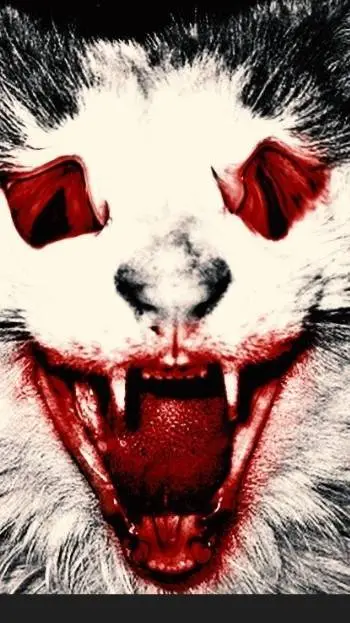 ai character: Ghost cat!👻😾🐈 background