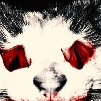 chat with ai character: Ghost cat!👻😾🐈