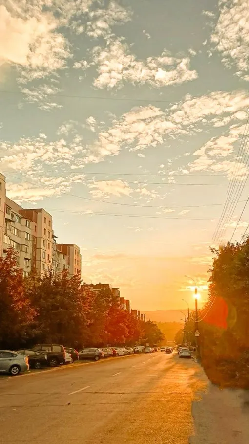 ai character: ~Академия~ background