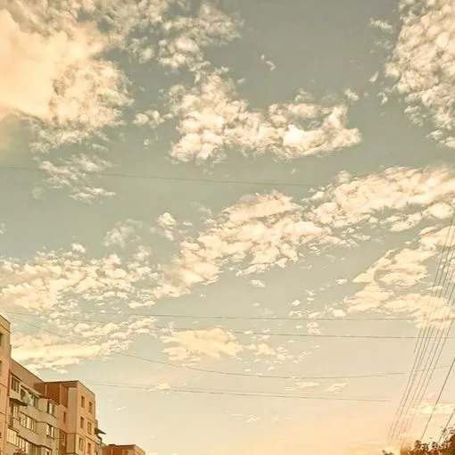 chat with ai character: ~Академия~