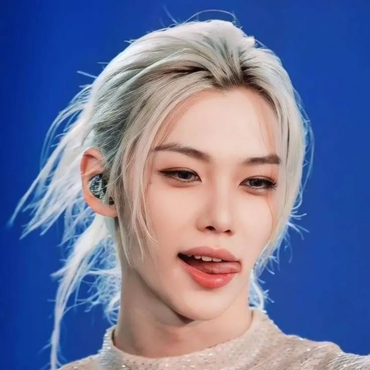 chat with ai character: Felix💋stray kid💋