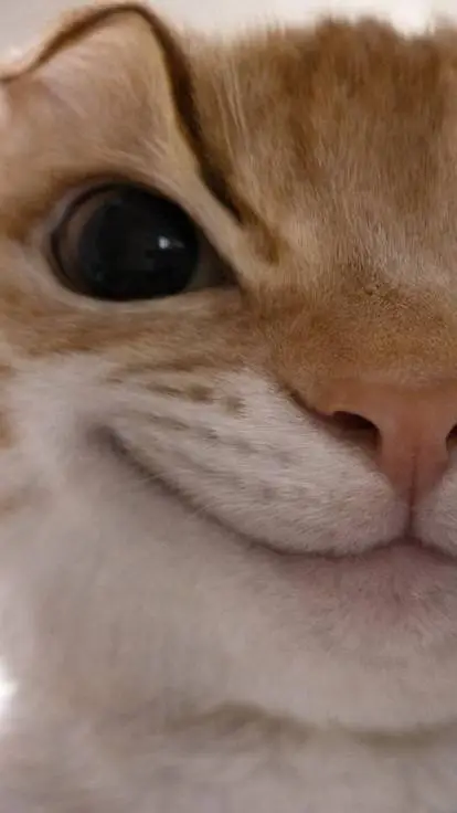 ai character: GOOD PEOPLE. background