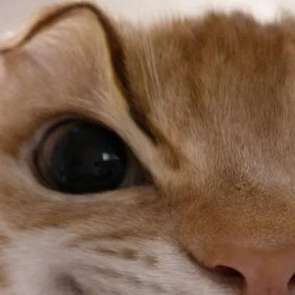 chat with ai character: GOOD PEOPLE.