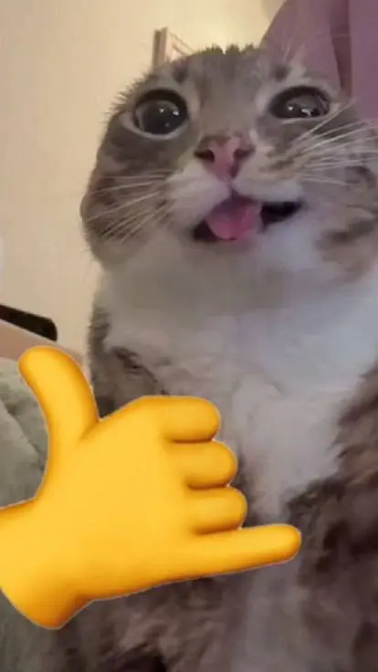 ai character: SPANISH CHAT BOT background