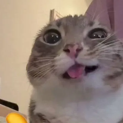 chat with ai character: SPANISH CHAT BOT