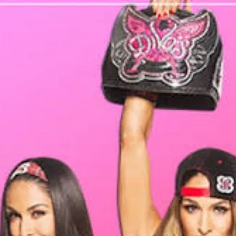 chat with ai character: Bella Twins