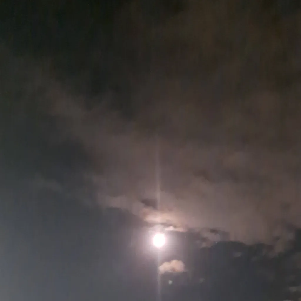 chat with ai character: moonlight