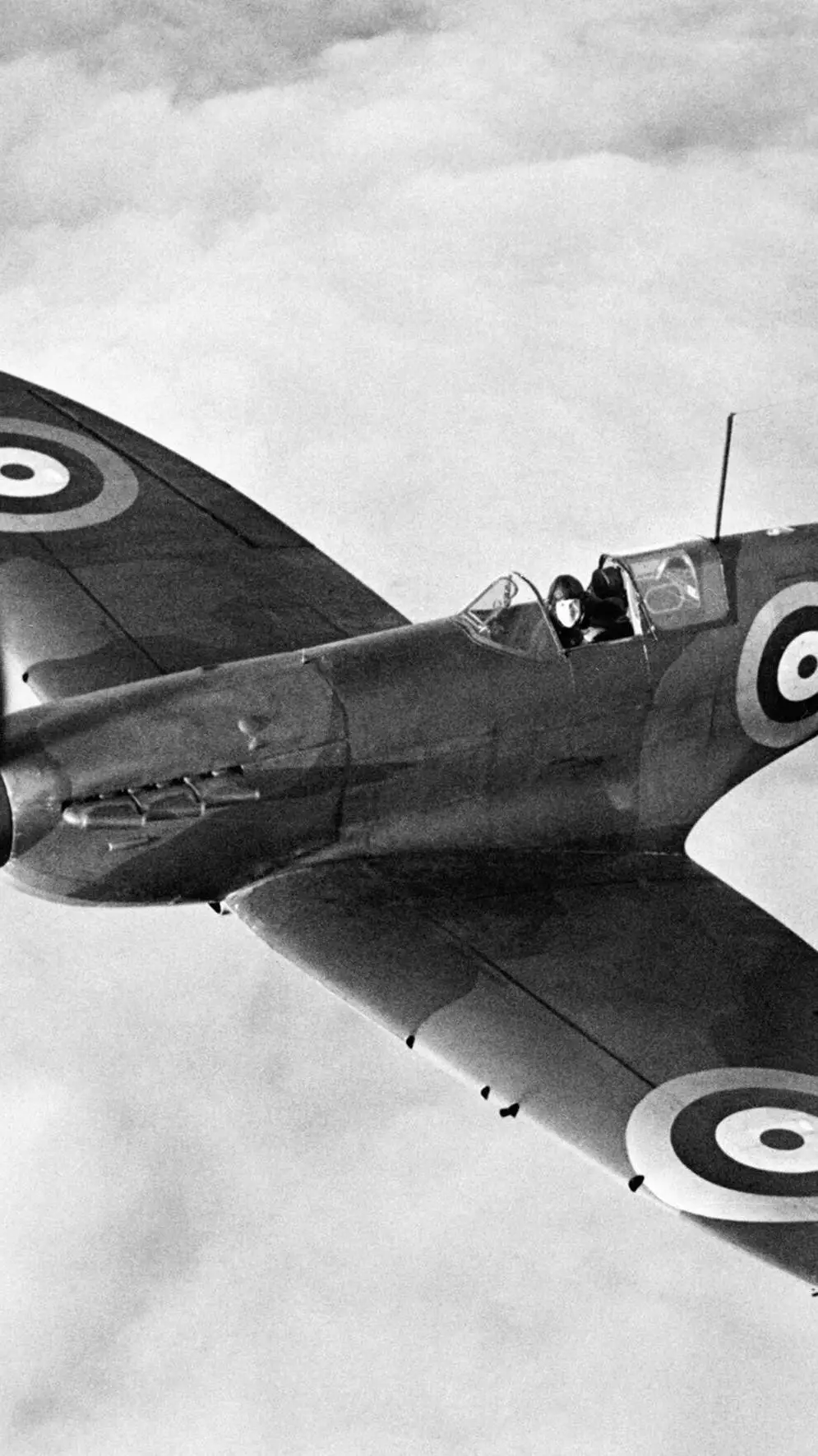 ai character: Dandy's World background