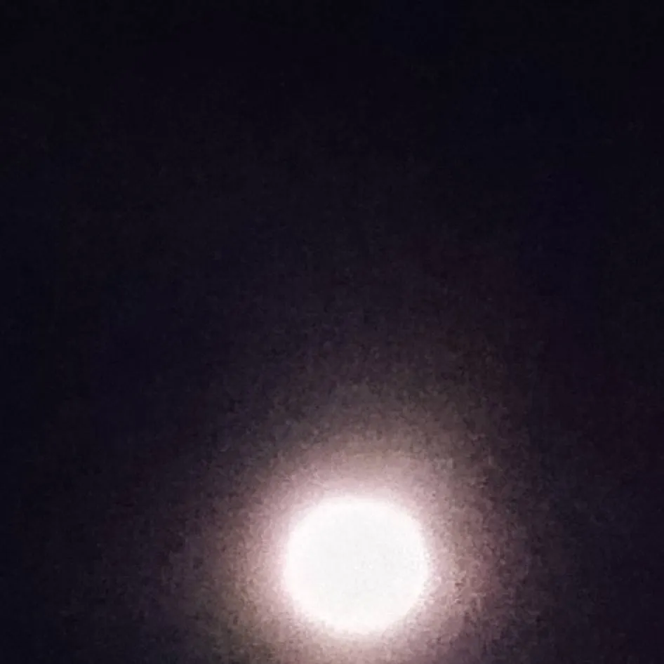 chat with ai character: The vent incident