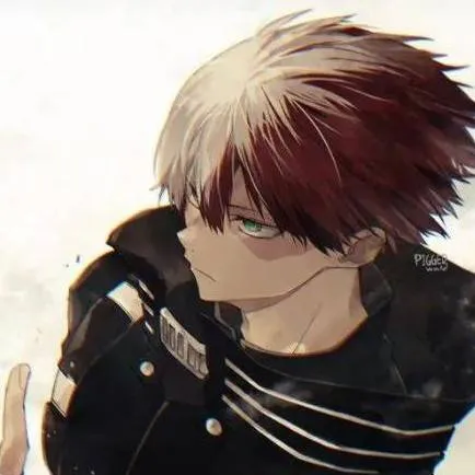 chat with ai character: ❤️todoroki x t/n🤍