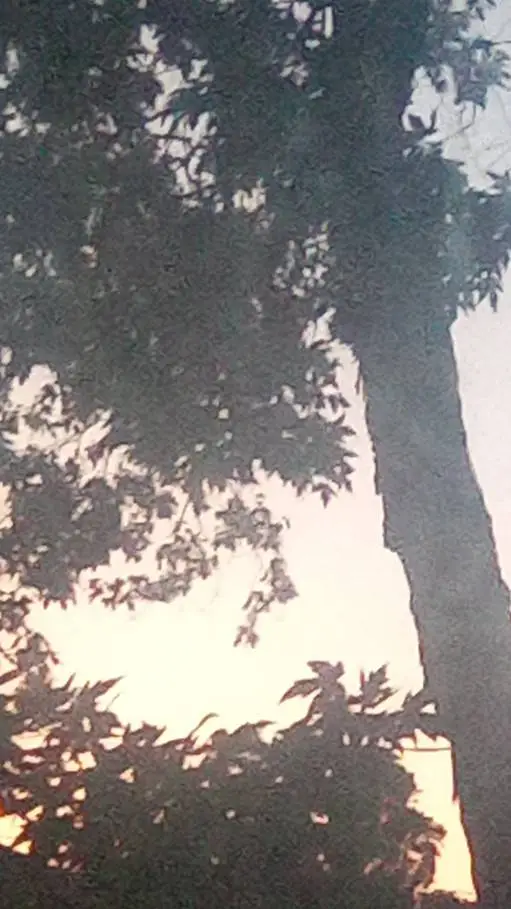 ai character: morning sun background