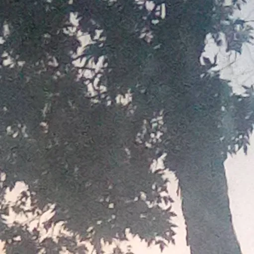 chat with ai character: morning sun