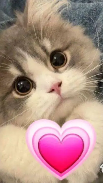 ai character: Un amor loco  background