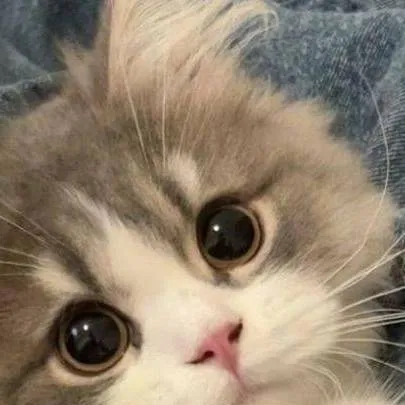 chat with ai character: Un amor loco 