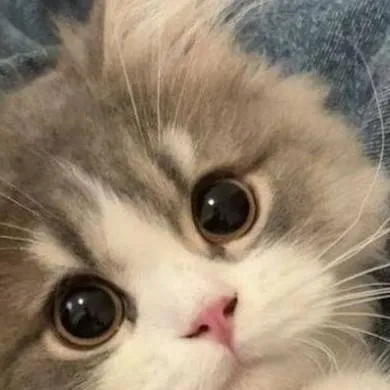 chat with ai character: Amor loco 