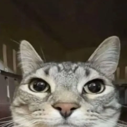 chat with ai character: sprunki furry apo.