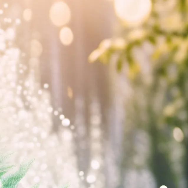 chat with ai character: 💚Two💚