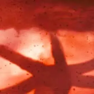 chat with ai character: Stranger Things 