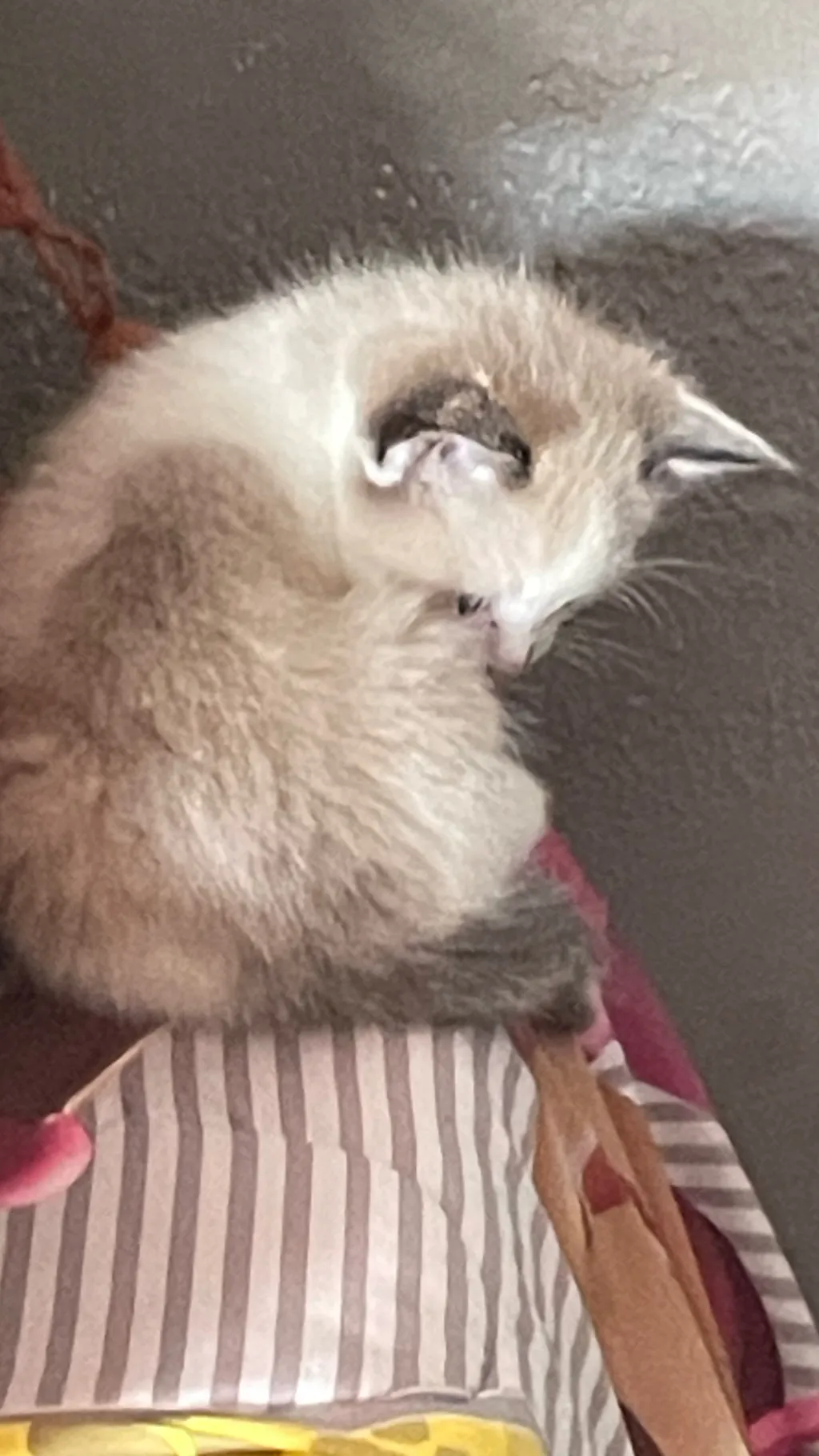 ai character: Guys I’m quitting background