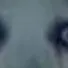 chat with ai character: dog  creepy in car