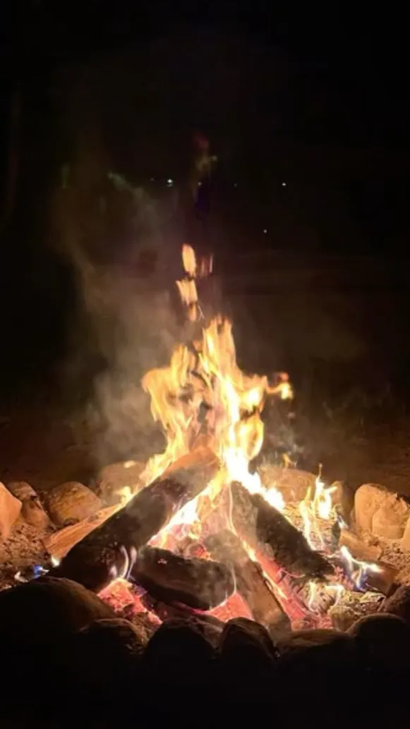 Talkie AI - Chat with EDDSWORLD [🌲🏕]