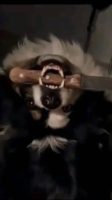 ai character: BaddogChance background