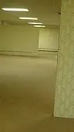 ai character: The backrooms background