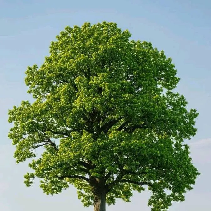 chat with ai character: g