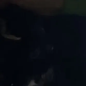 chat with ai character: Hashira picture 