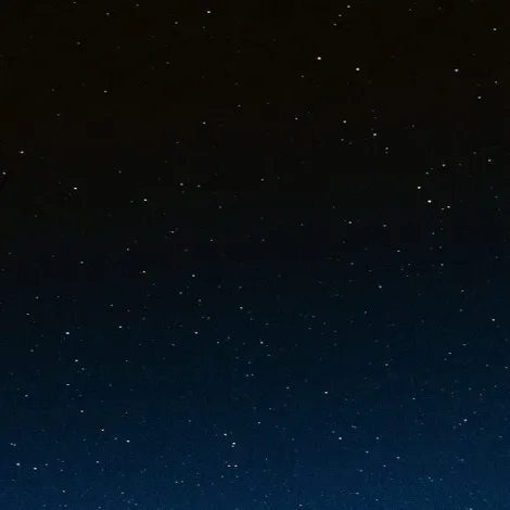 chat with ai character: Gorilla tag au pt4