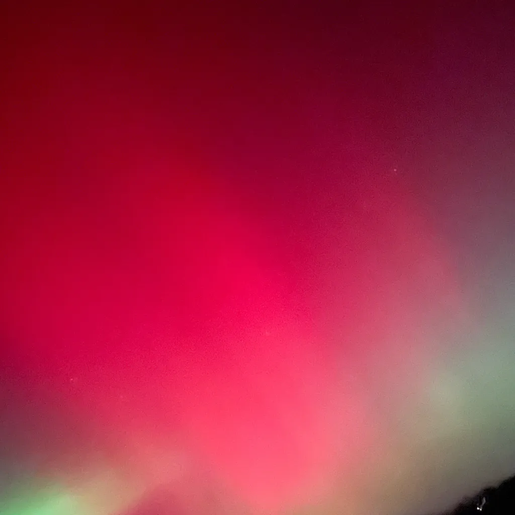 chat with ai character: Lalal