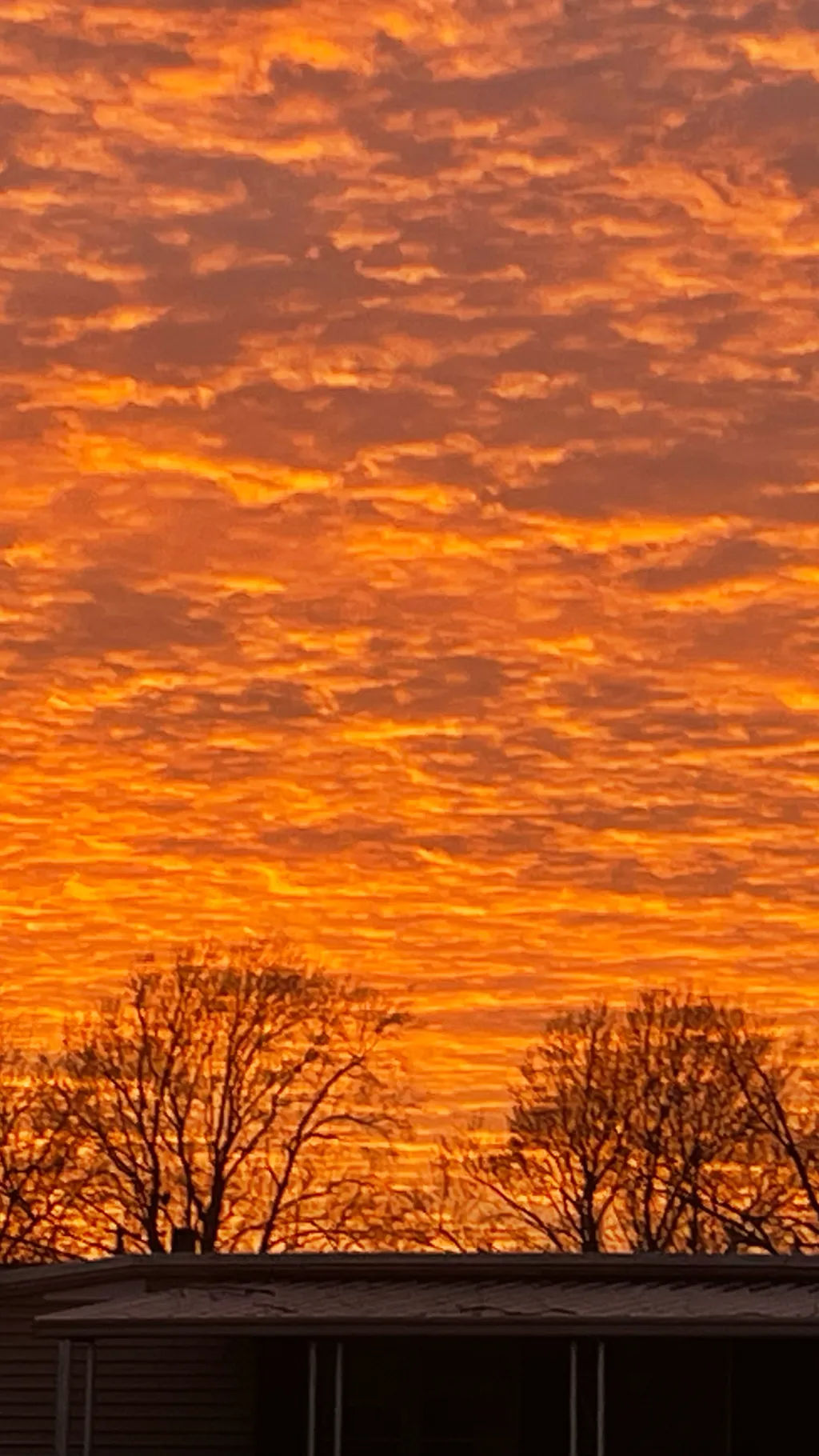 ai character: The bff background