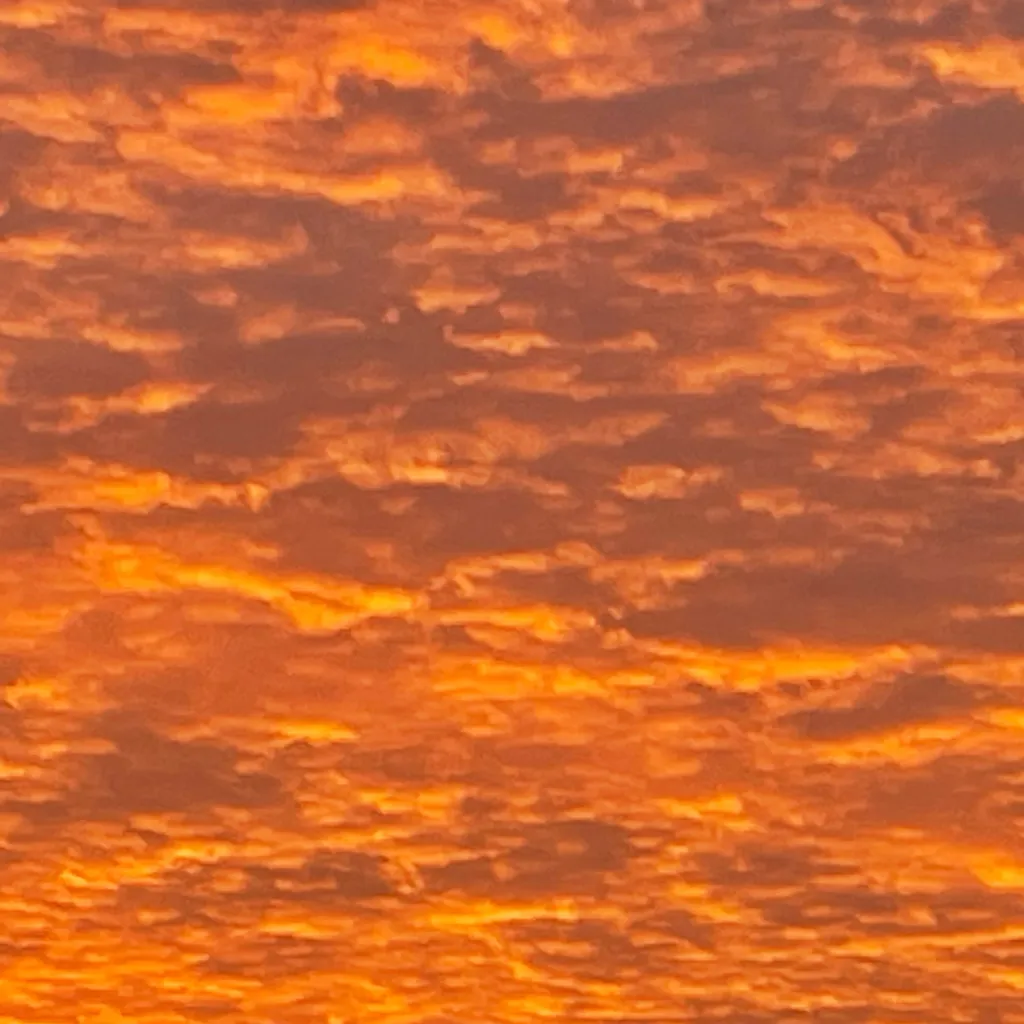 chat with ai character: The bff