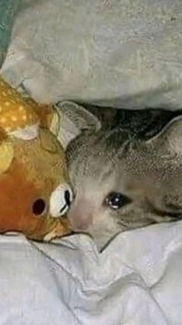 ai character: ⬤~Mateito~⬤ background