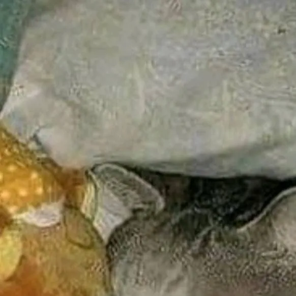 chat with ai character: ⬤~Mateito~⬤